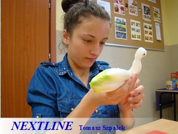 kurs carvingu nextline