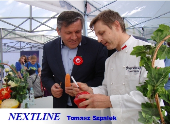 kurs carvingu NEXTLINE