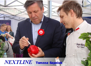 kurs carvingu NEXTLINE