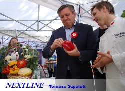 kurs carvingu NEXTLINE