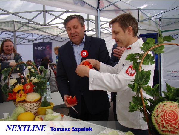 kurs carvingu NEXTLINE