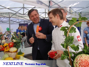 kurs carvingu NEXTLINE