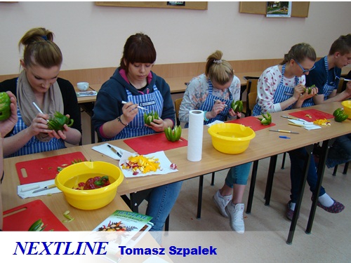 kurs carvingu NEXTLINE