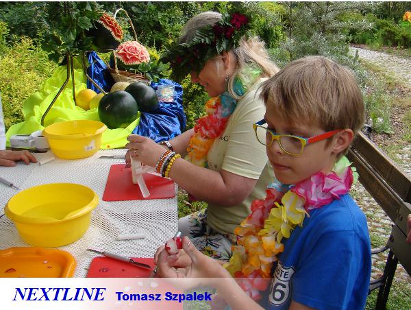 kurs carvingu nextline